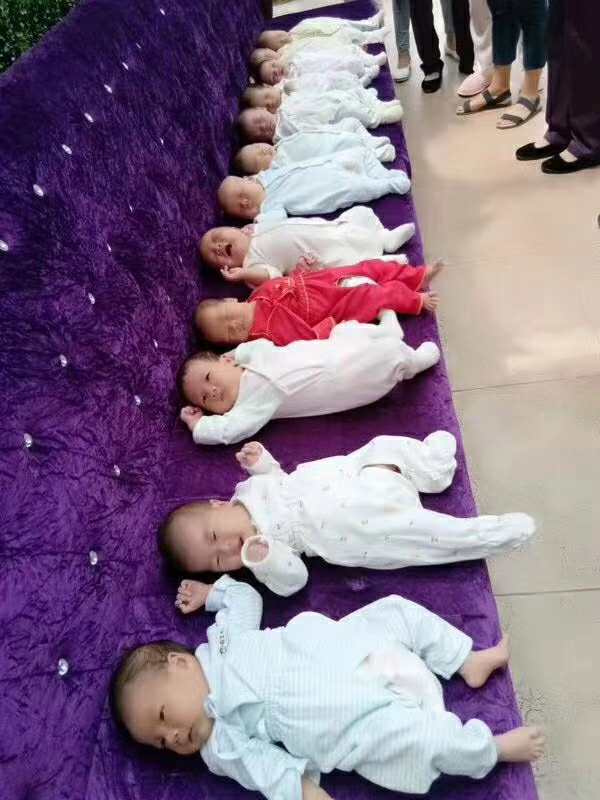 公司活动